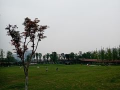 -府河摄影公园