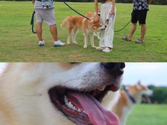 -钟山体育运动公园
