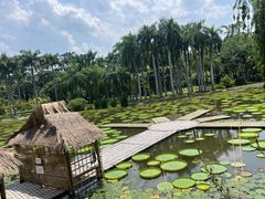 -中国科学院西双版纳热带植物园