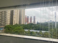 -百年果林椰子鸡(中洲店)
