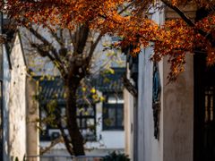 -青果巷历史文化街区