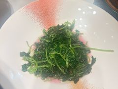 -凤凰湘语(浦东旗舰店)