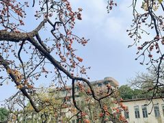 -黄埔古港