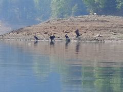 -千岛湖湖人皮划艇俱乐部