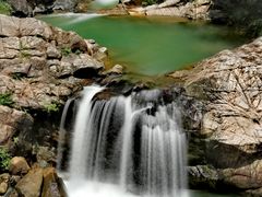 -广州白江湖森林公园