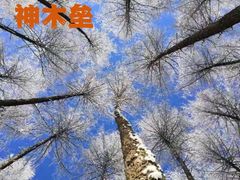 -硗碛藏寨·神木垒景区