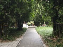 -绵阳人民公园(涪城区)