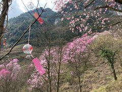 -九皇山景区