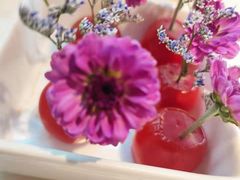 -周渝食惦·酸菜鱼精致川菜(横岗店)