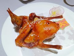 -大鸽饭(体育西路店)