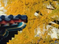 -回龙观体育文化公园