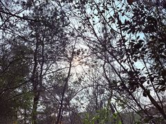 -天目湖涵田半山温泉