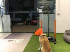 -YCHL Studios健身工作室(市二宫店)
