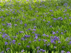 -汉长安城未央宫国家考古遗址公园