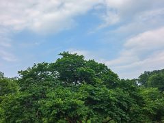 -萨尔浒风景区