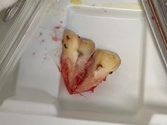 -上海市徐汇区口腔医院