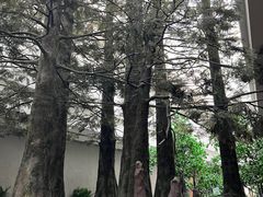 -中国湿地博物馆