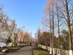 -艾溪湖湿地公园