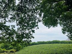 -敬亭山风景名胜区