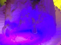 -汉密哈顿(解放路1段店)