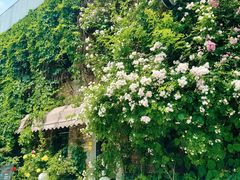 -元大都城垣遗址公园