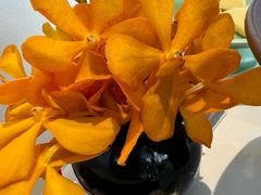 -止观小馆·辽河口渔家菜(王府井店)