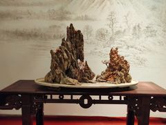 -盆景园(扬州大运河文化旅游度假区)