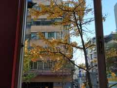 景观位-红豆园(文林街店)