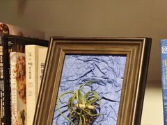 -自由生长植物工作室(深港花卉中心店)