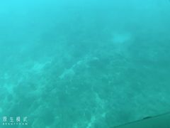 -亚龙湾海底世界