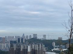 -板樟山森林公园