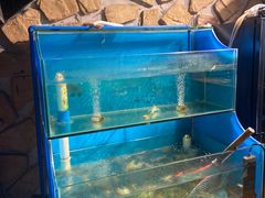 水产区-Thai Basil罗勒叶泰式餐厅(时代天街店)