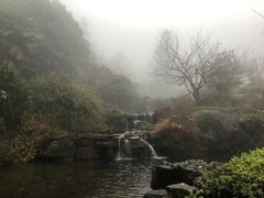 -大围山国家森林公园