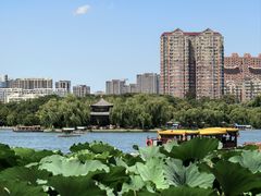 -济南大明湖景区