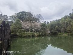 -常德桃花源景区