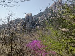 -崂山巨峰游览区