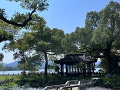 -杭州西湖柳莺里酒店·闻莺厅