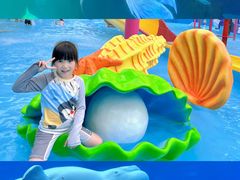 -海合安成都极地海洋公园