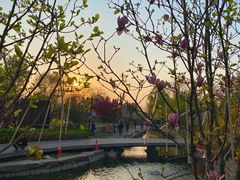 -三里河公园