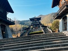 -大唐贡茶院