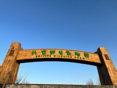 -北京野生动物园