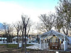 -天津东丽湖风景区