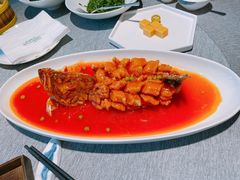 松鼠大桂鱼-绿波廊(豫园店)