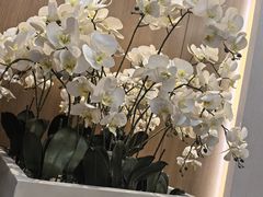 -静海名悦·私宴(大生店)