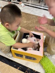 -奈尔宝家庭中心·亲子餐厅(鄞州万达店)