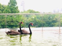 -行者书屋大堂吧 ·下午茶(南京圣和府邸酒店)