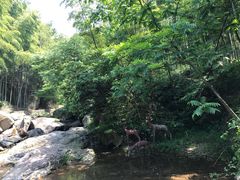 -众神白水涧景区