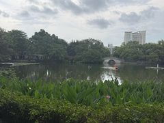 -荔湾湖公园
