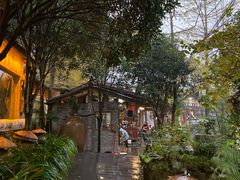 -青城甲(青城山店)