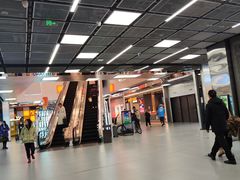 -泸溪河桃酥(龙湖长楹天街店)